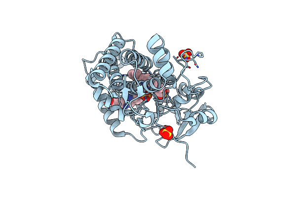 5IBJ image