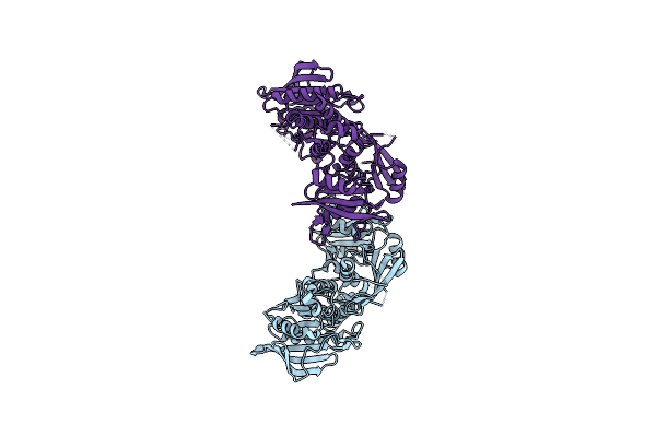 5IBM image