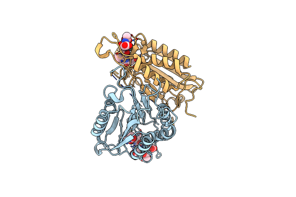 5IBR image