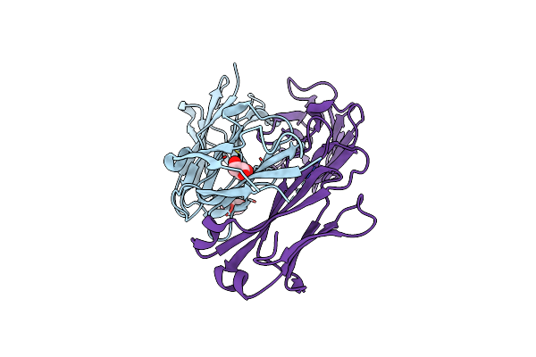 5IBT image
