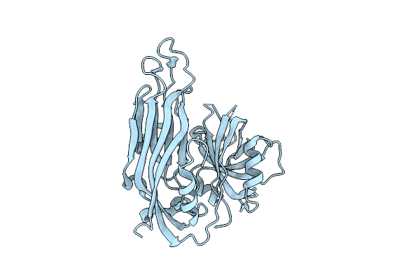 5IBV image