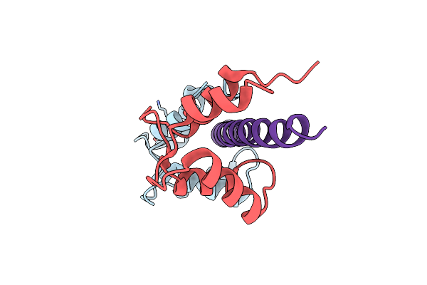 5IBW image