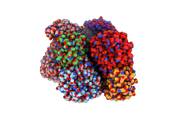 5IBX image