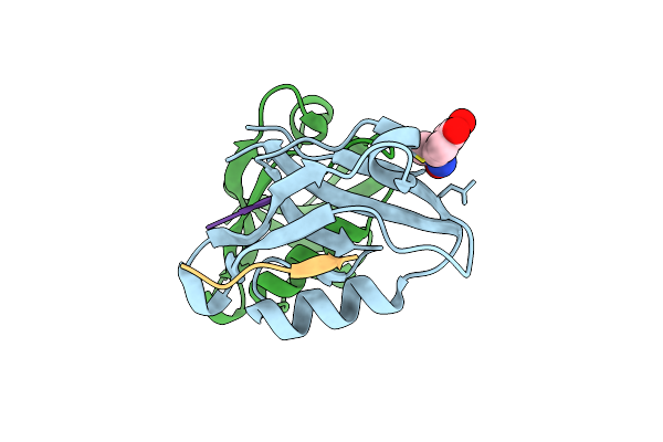 5IC3 image