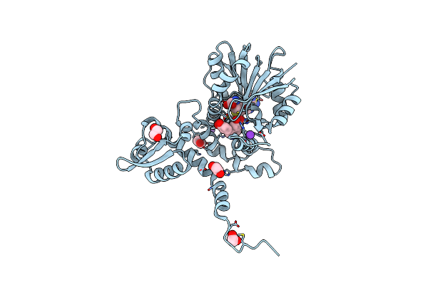 5ICE image