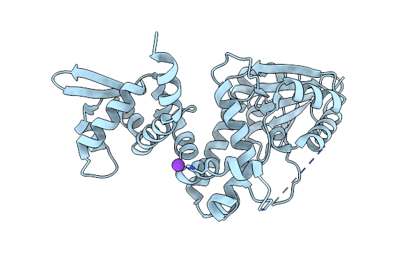 5ICG image