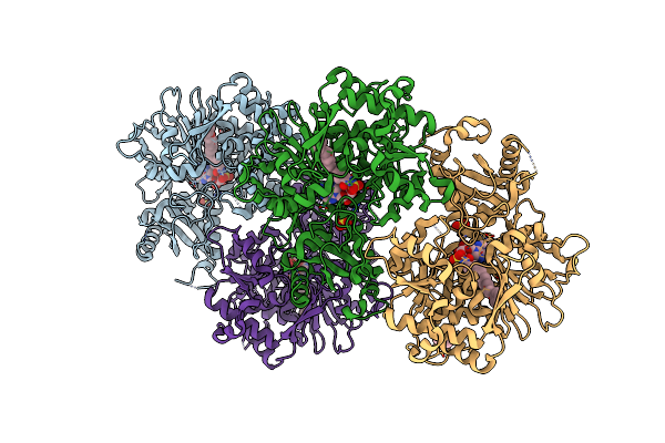 5ICR image