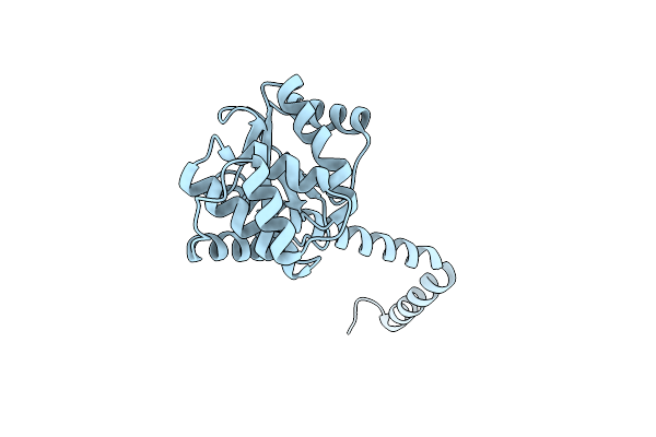 5ID4 image