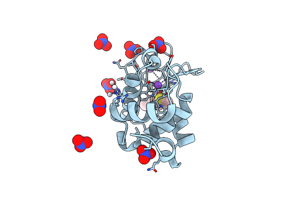 5IDD image
