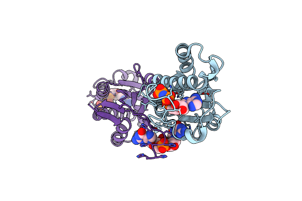5IDM image