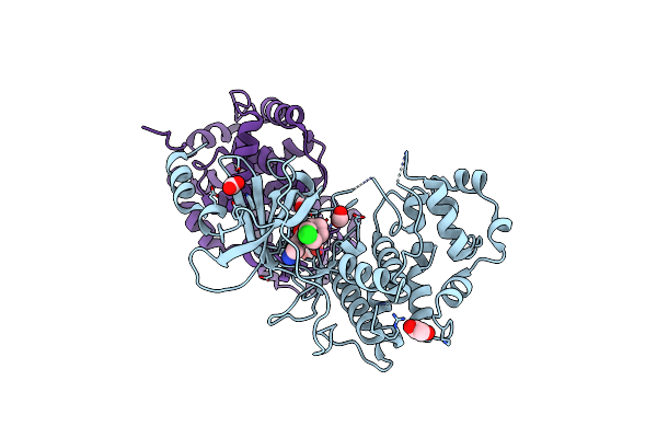 5IDN image