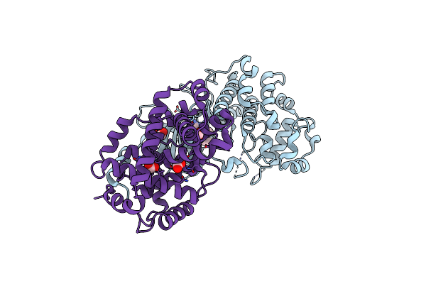 5IDP image