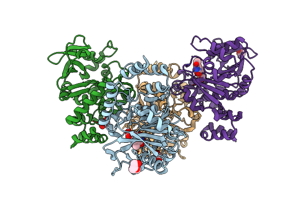 5IDT image