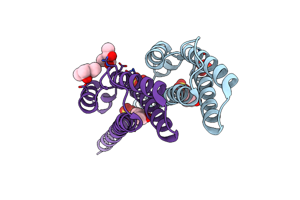 5IET image