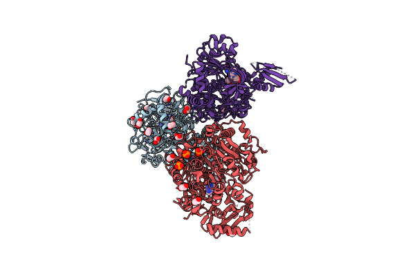 5IFI image
