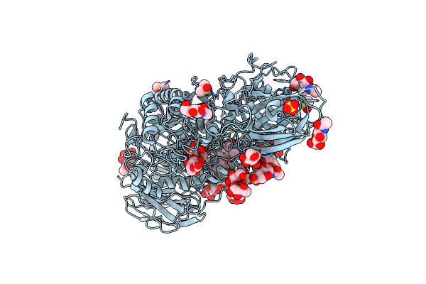 5IFT image