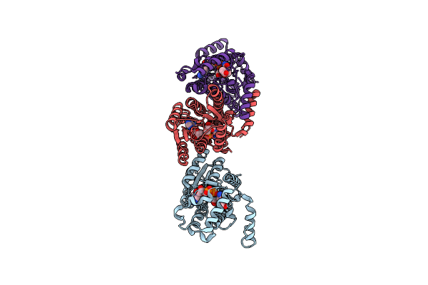 5IG2 image