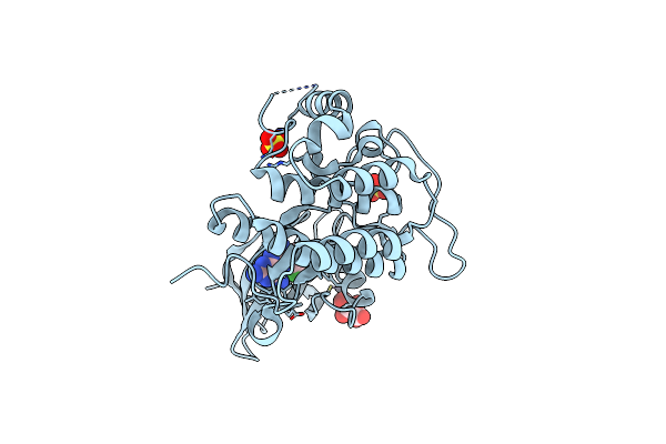 5IH5 image