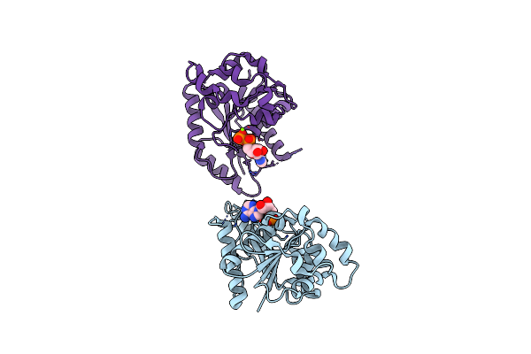 5IHP image