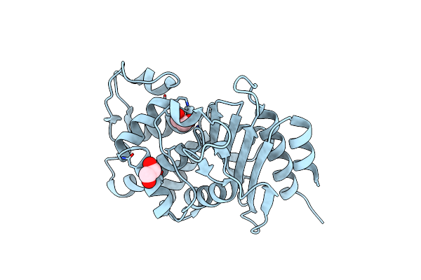 5IHV image