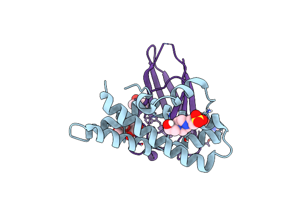 5IIB image