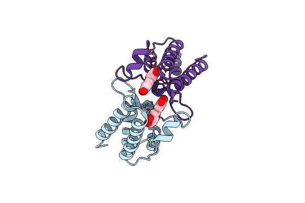 5IID image