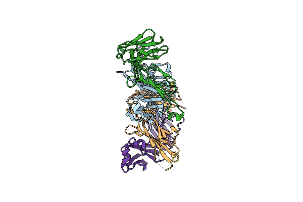 5IIE image