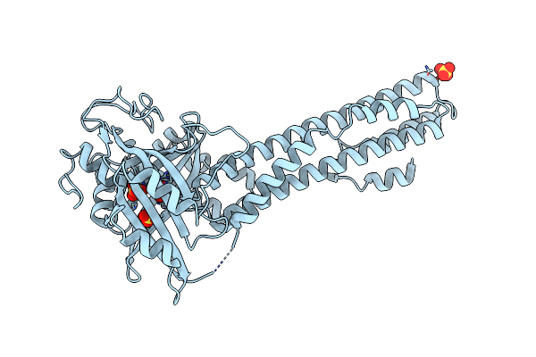 5IIG image