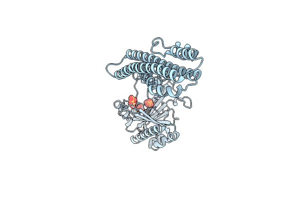 5IIQ image