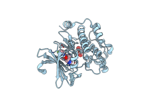 5IIS image