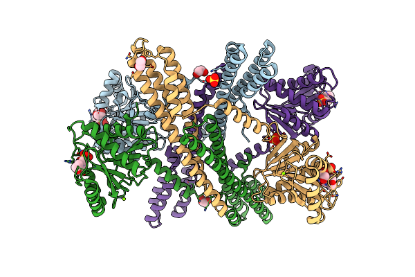 5IIT image