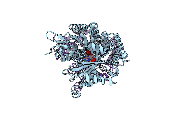 5IJ9 image