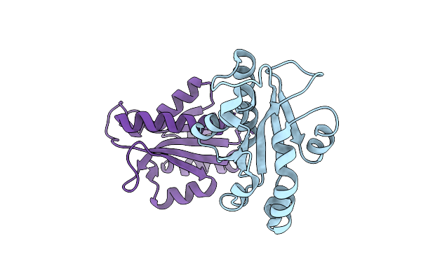 5IJA image