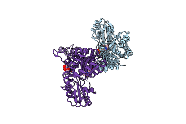 5IJG image
