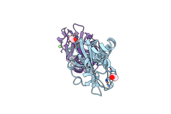 5IJU image