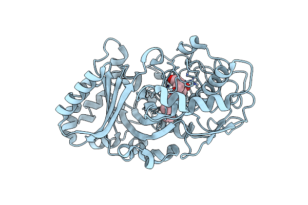 5IKG image