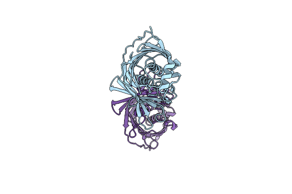 5IL6 image