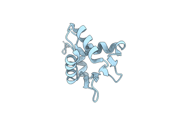 5ILS image