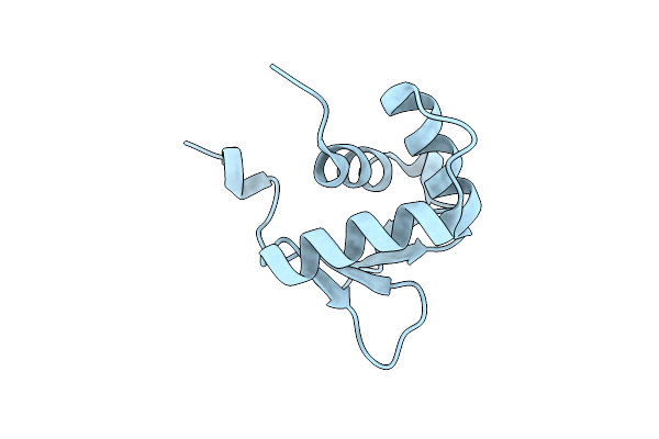 5ILV image