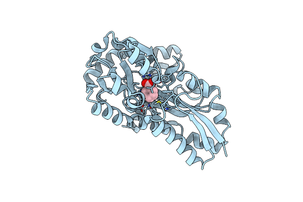 5IM2 image