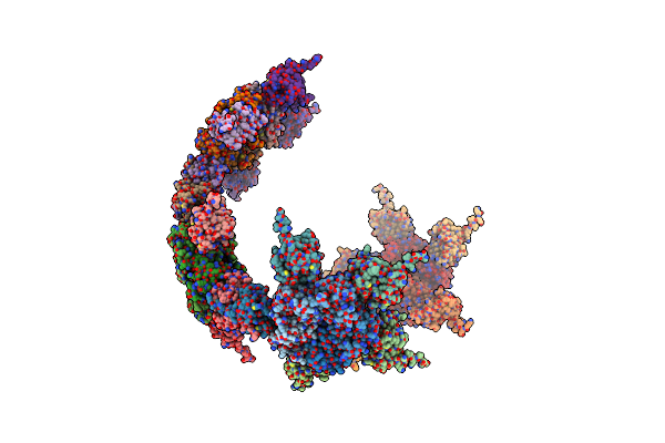 5IM4 image