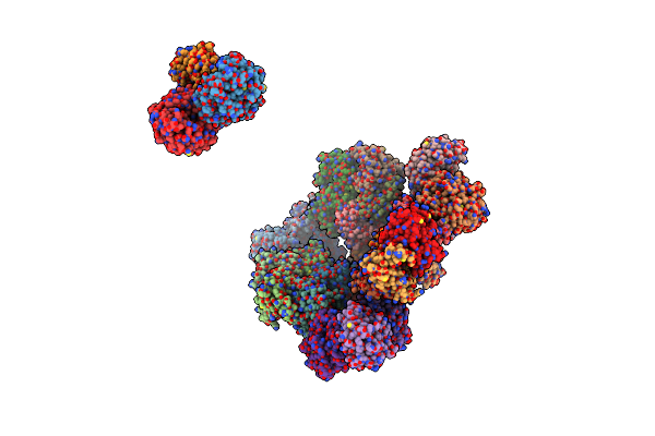 5IM5 image