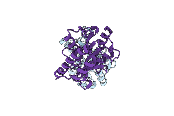 5IMB image