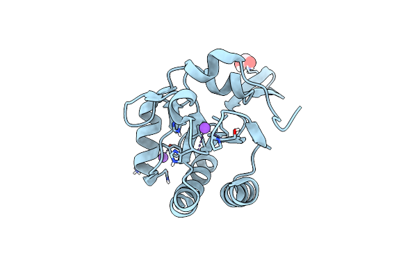 5IMC image