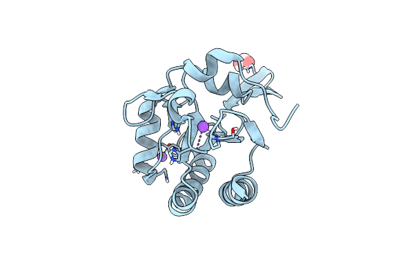 5IMD image