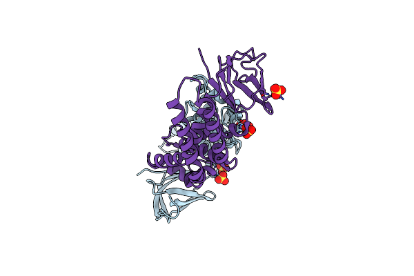 5IMJ image