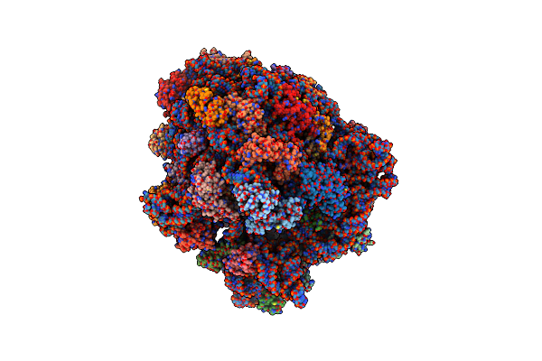 5IMQ image
