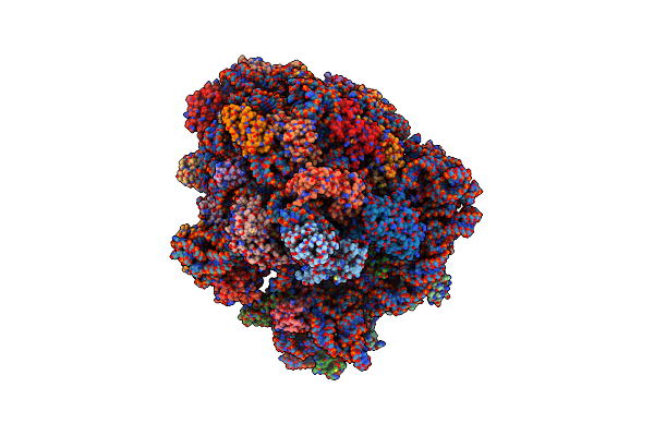 5IMR image