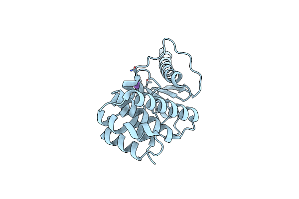 5IMU image