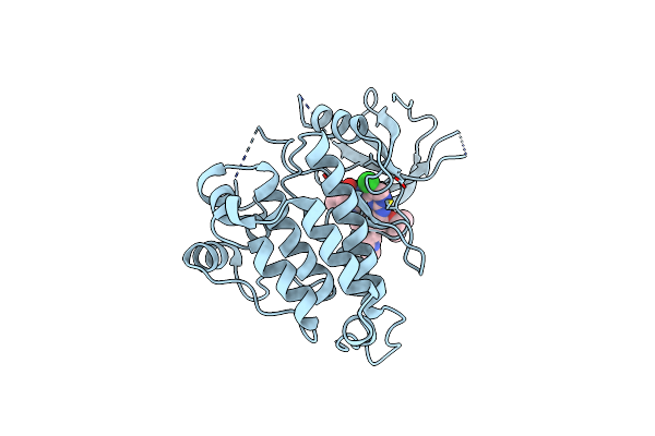5IMX image